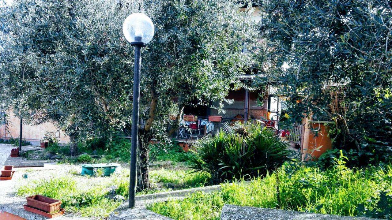 Locazione Turistica Dream House Marzia Villa Roma Ngoại thất bức ảnh
