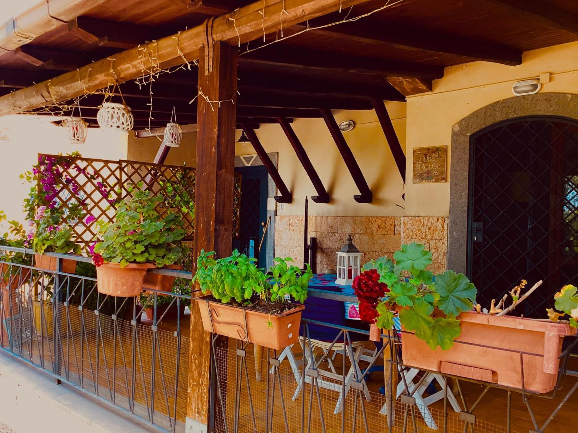 Locazione Turistica Dream House Marzia Villa Roma Ngoại thất bức ảnh